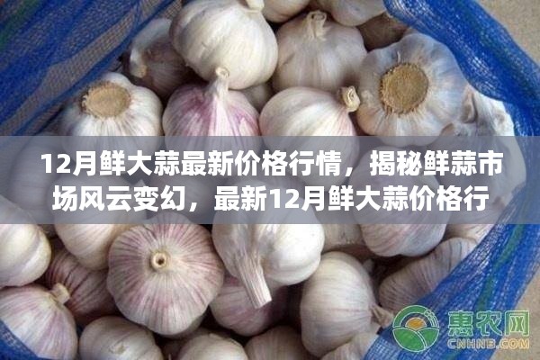 揭秘最新鮮大蒜行情,12月鮮大蒜價格解析與市場風云變幻
