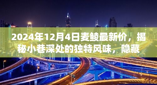 揭秘繁華背后的小巷美食,麥鯪特色小店最新價格動態與獨特風味探索