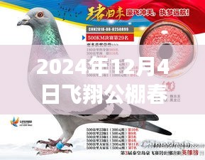 揭秘最新公告，飛翔公棚春棚更新動態，關注所有你關心的內容