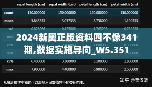 2024新奧正版資料四不像341期,數據實施導向_W5.351