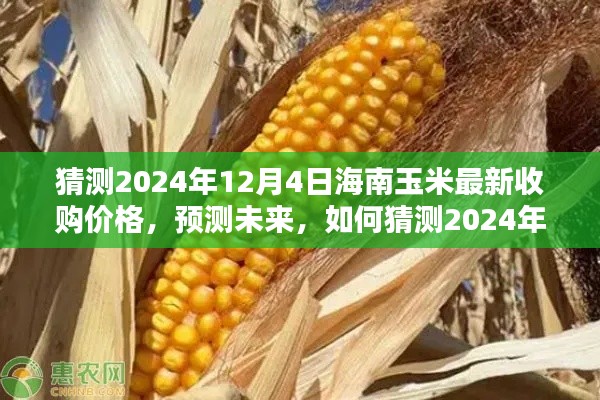 揭秘未來,海南玉米最新收購價格預(yù)測報告(至2024年12月4日)