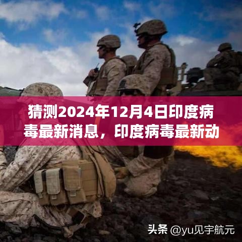 2024年12月4日印度病毒最新動態(tài)與預(yù)測洞察