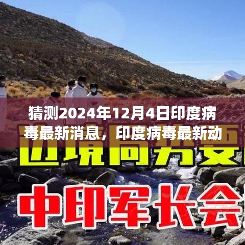 2024年12月4日印度病毒最新動態與預測洞察