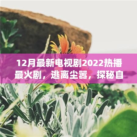 心靈之旅，逃離塵囂，探秘自然美景——2022年熱播電視劇最新盤點