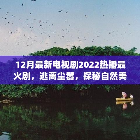 心靈之旅,逃離塵囂,探秘自然美景——2022年熱播電視劇最新盤點