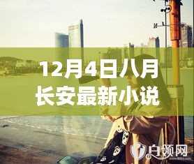 八月長安最新小說時光織夢人全面評測與深度介紹