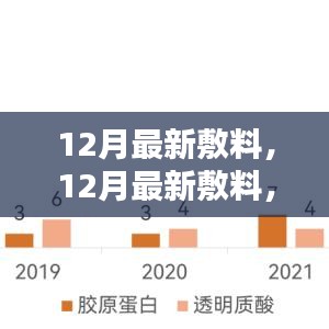 12月最新敷料革新與應用,深度探討與解讀