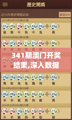341期澳門開獎結果,深入數據應用計劃_XR19.659