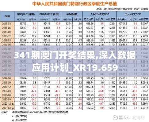 341期澳門開獎結果,深入數據應用計劃_XR19.659