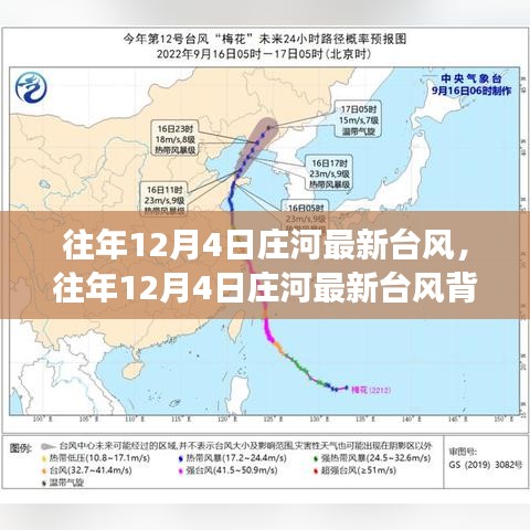 往年12月4日莊河臺風背后的奇遇,心靈平靜之旅的啟程