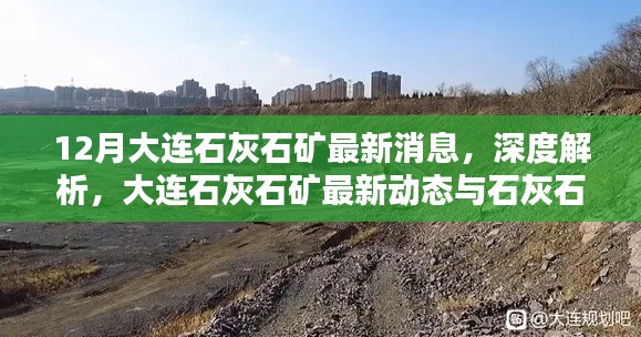 大連石灰石礦最新動態(tài)與產(chǎn)品特性深度解析,12月消息速遞