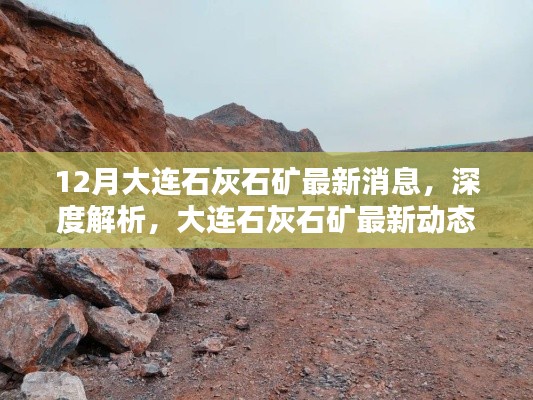 大連石灰石礦最新動態與產品特性深度解析,12月消息速遞