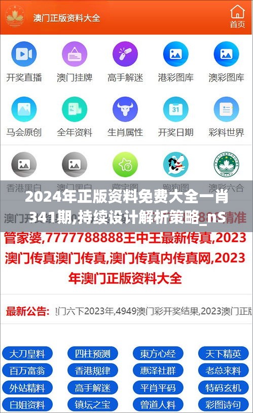 2024年正版資料免費大全一肖341期,持續(xù)設(shè)計解析策略_nShop4.773