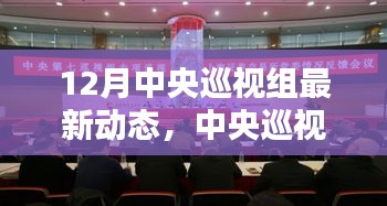 中央巡視組最新動態(tài),深化黨內(nèi)監(jiān)督,聚焦巡視成果,以最新一輪巡視為例