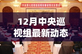 中央巡視組最新動態(tài),深化黨內(nèi)監(jiān)督,聚焦巡視成果,以最新一輪巡視為例