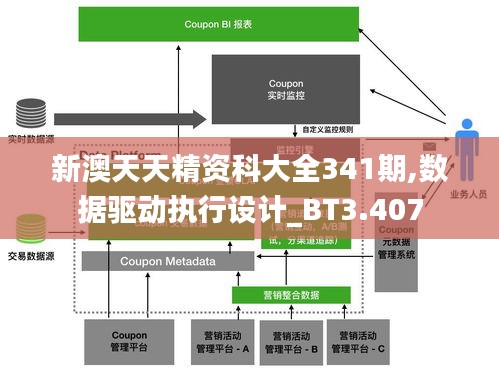 新澳天天精資科大全341期,數(shù)據驅動執(zhí)行設計_BT3.407