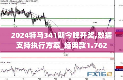 2024特馬341期今晚開獎(jiǎng),數(shù)據(jù)支持執(zhí)行方案_經(jīng)典款1.762