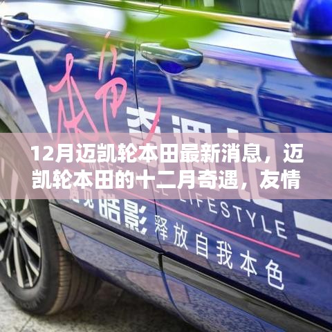 邁凱輪本田十二月驚喜,友情、溫馨與最新動(dòng)態(tài)