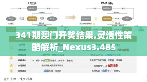 341期澳門開獎結果,靈活性策略解析_Nexus3.485