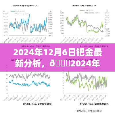 2024年鈀金市場(chǎng)深度洞察,最新行情分析與未來(lái)趨勢(shì)預(yù)測(cè)