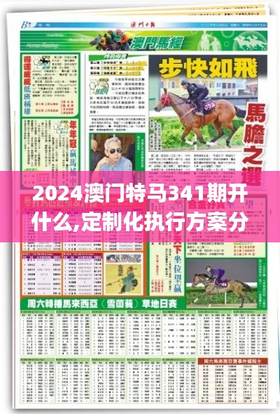 2024澳門特馬341期開什么,定制化執行方案分析_旗艦版6.723