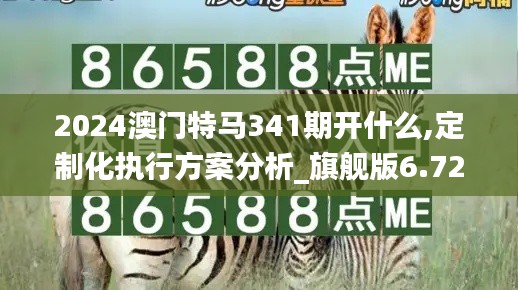 2024澳門特馬341期開什么,定制化執行方案分析_旗艦版6.723