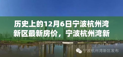 寧波杭州灣新區房價動態，歷史房價回顧與探索自然美景之旅的新篇章（12月6日更新）