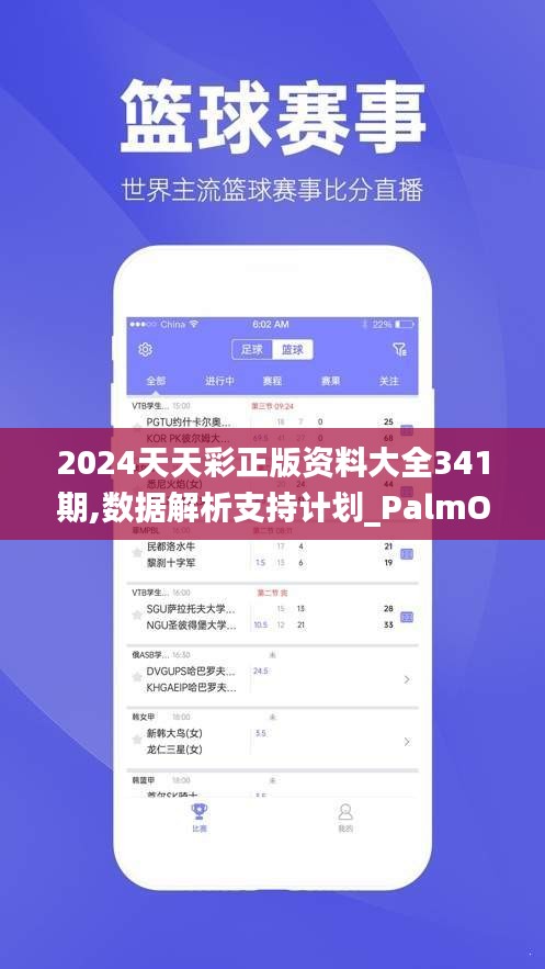 2024天天彩正版資料大全341期,數據解析支持計劃_PalmOS17.790