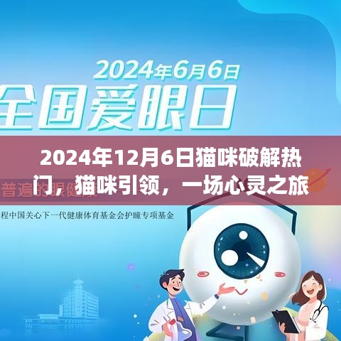 貓咪引領的心靈之旅，熱門貓咪時光探索記