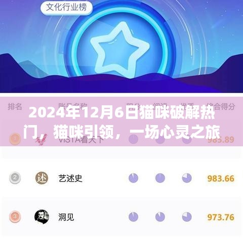貓咪引領(lǐng)的心靈之旅,熱門(mén)貓咪時(shí)光探索記