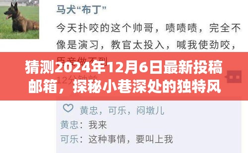 探秘小巷深處的秘密美食館,揭秘獨(dú)特風(fēng)味與最新投稿郵箱猜想(2024年12月6日)