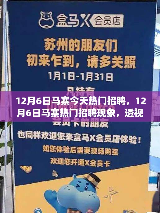 12月6日馬寨熱門招聘現象深度解析，利弊與個人觀點透視