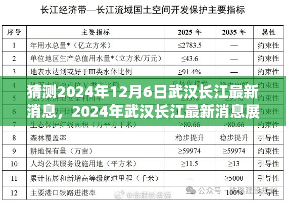 關于武漢長江發展與保護的探討，最新消息展望至2024年12月6日