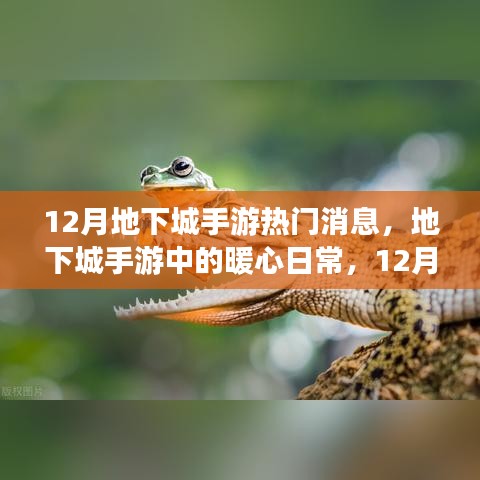 12月地下城手游,暖心日常與友情陪伴的時光