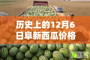 歷史上的阜新西瓜價(jià)格深度解析,最新行情回顧與深度解析(12月6日)