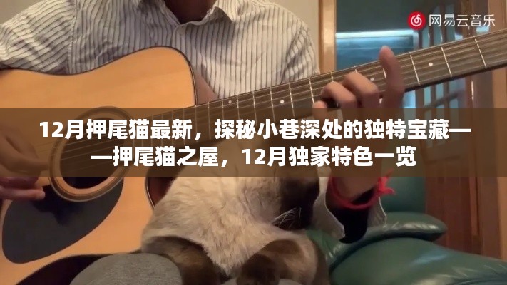 探秘押尾貓之屋,小巷深處的獨特寶藏,揭秘十二月獨家特色