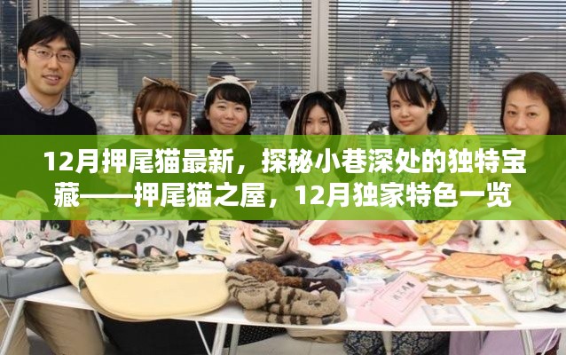 探秘押尾貓之屋,小巷深處的獨特寶藏,揭秘十二月獨家特色