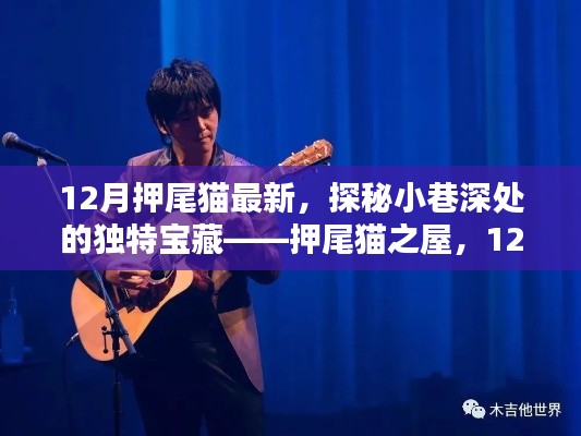 探秘押尾貓之屋,小巷深處的獨特寶藏,揭秘十二月獨家特色