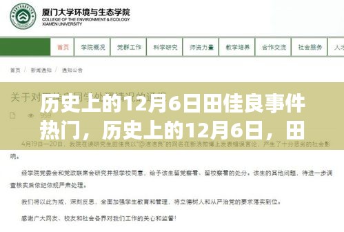 揭秘歷史上的田佳良事件，背后的故事與深遠影響