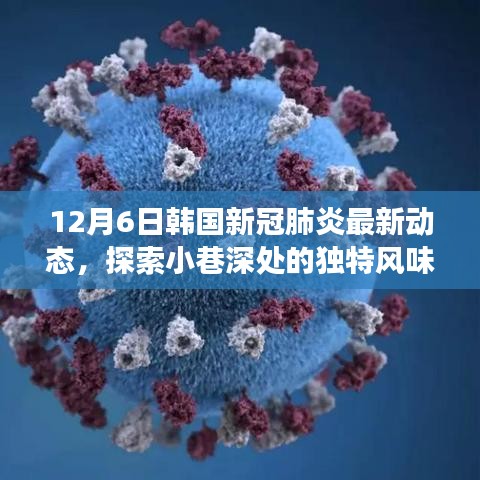 韓國新冠疫情下的美食探索,小巷深處的獨特風味與隱藏美食寶藏(最新動態)