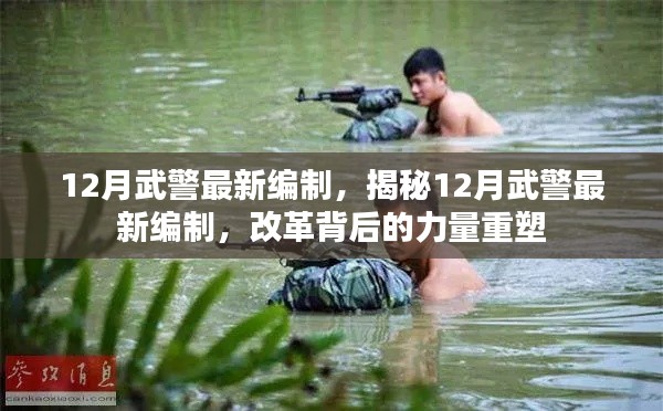 揭秘,12月武警最新編制與力量重塑背后的改革之路