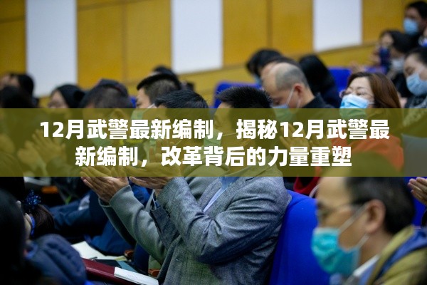 揭秘,12月武警最新編制與力量重塑背后的改革之路