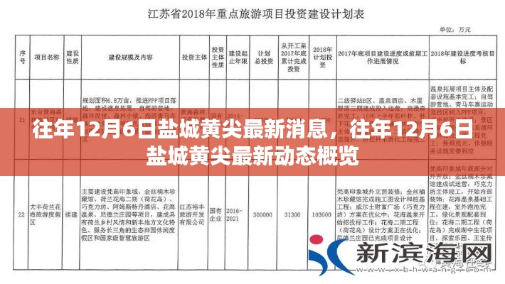 往年12月6日鹽城黃尖最新消息概覽