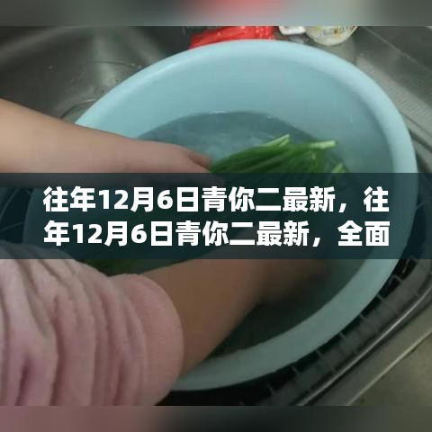 往年12月6日青你二全面評測與介紹