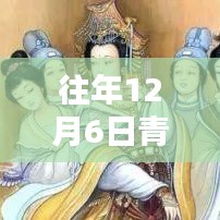 往年12月6日青你二全面評測與介紹