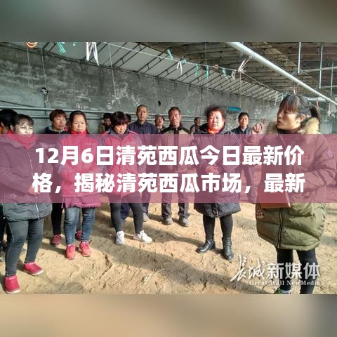 清苑西瓜最新價(jià)格動(dòng)態(tài)及市場(chǎng)分析,揭秘市場(chǎng)趨勢(shì)(以12月6日數(shù)據(jù)為例)