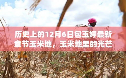 包玉婷的勵(lì)志人生,玉米地里的光芒與學(xué)習(xí)的力量,照亮人生旅途的篇章