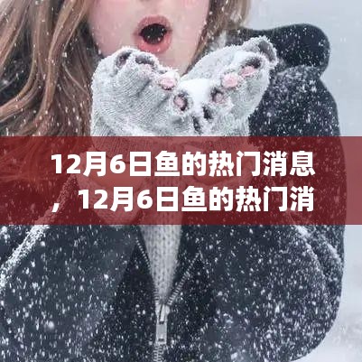 深度解析,揭秘12月6日魚的熱門消息背后的觀點與立場