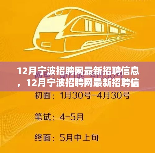 12月寧波招聘網最新招聘信息全面解析與求職全攻略