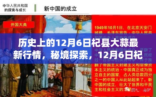 秘境探索,揭秘12月6日杞縣大蒜行情與小巷深處的蒜香特色小店